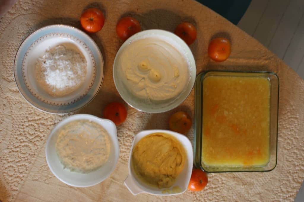 Top left: Coconut, Top middle: Whipped Cream, Far right: Pineapple Mandarin Orange Gelatin, Bottom middle: Pastry Cream, Bottom Left: Cottage Cheese