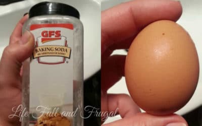 Egg Yolk Facial