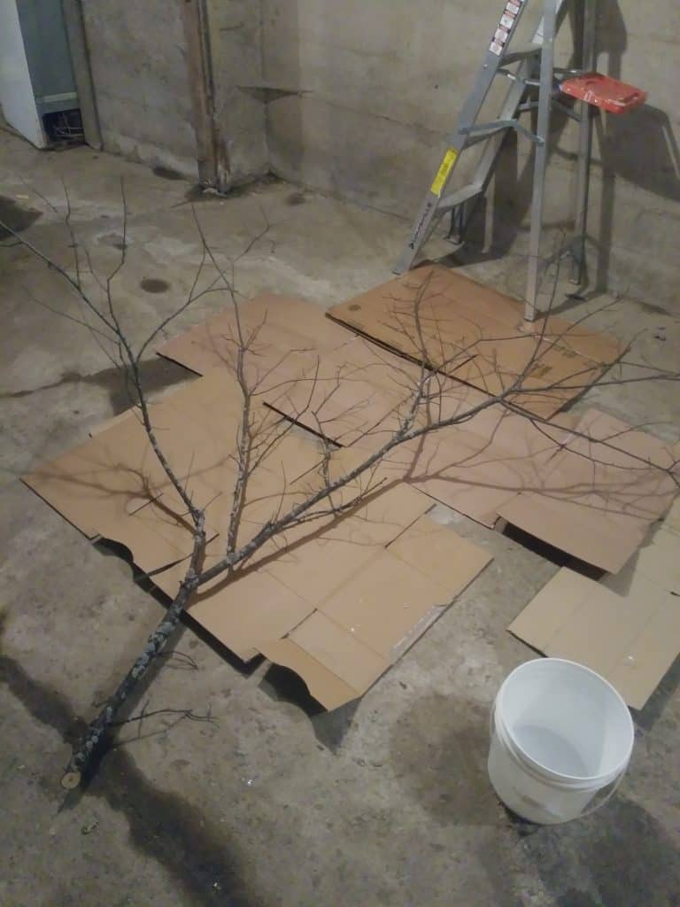 Branch for an Easter tree