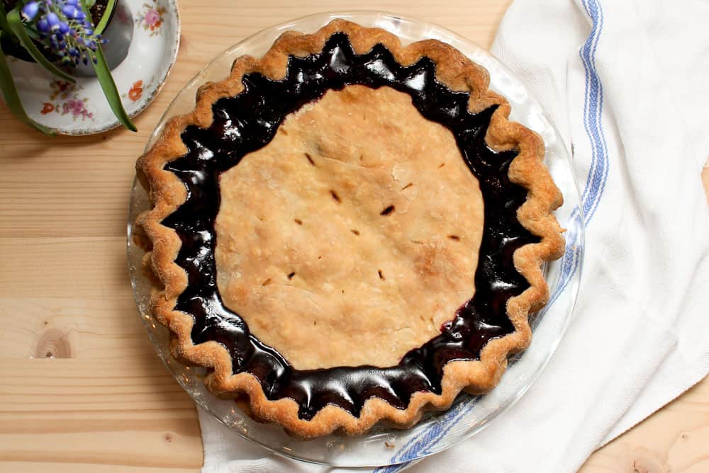 a blueberry pie recipe with a bonus rustic jam filled tart with sour cream Life Full and Frugal