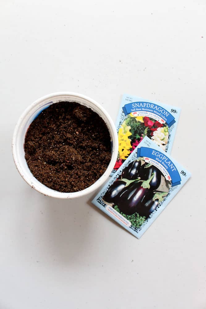 simple steps to starting seeds indoors life full and frugal soil and seeds