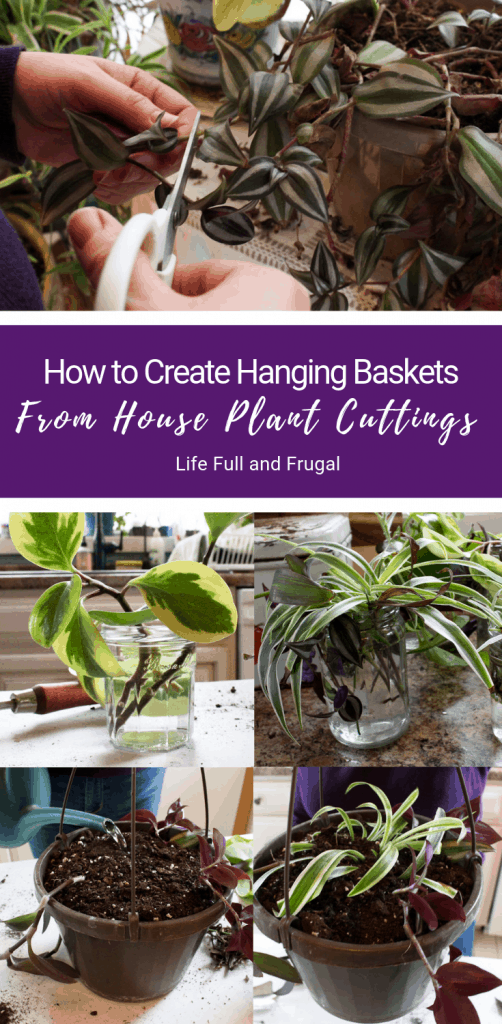 How to Create Hanging Baskets from House plant cuttings life full and frugal pinterest