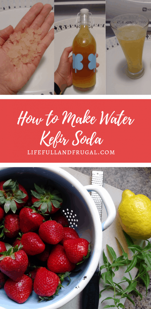 How to make water kefir soda pinterest life full and frugal