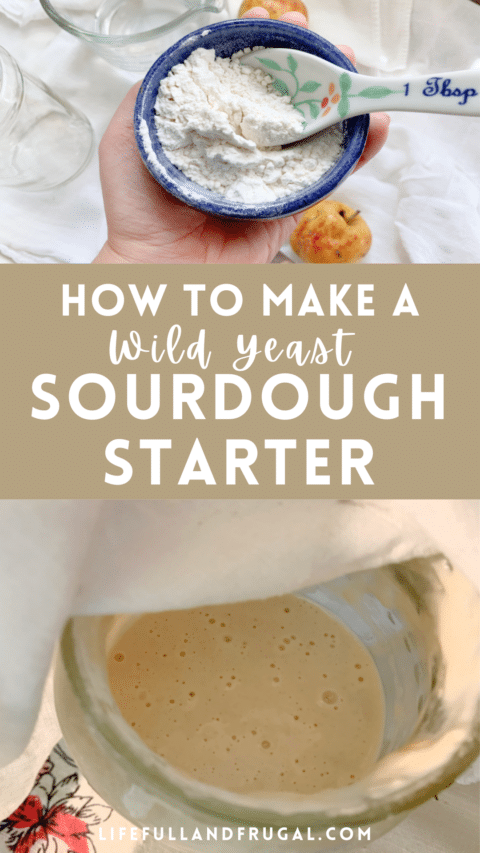 How to Make a Wild Yeast Sourdough Starter - Life Full and Frugal