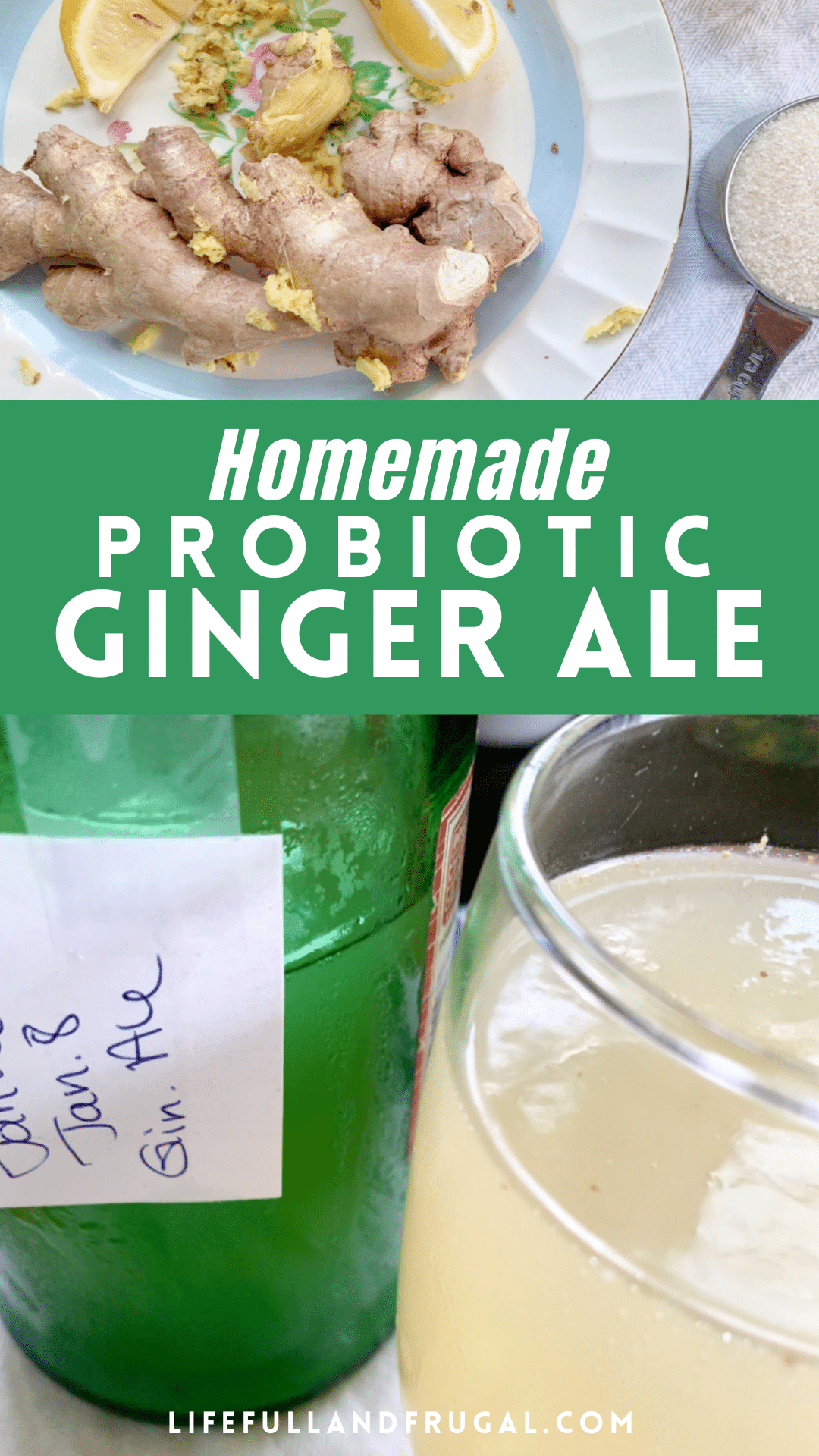 homemade probiotic ginger ale Pinterest life full and frugal
