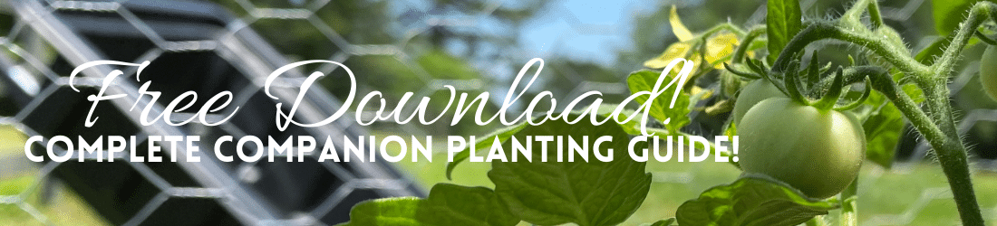 free companion planting guide - Life Full and Frugal