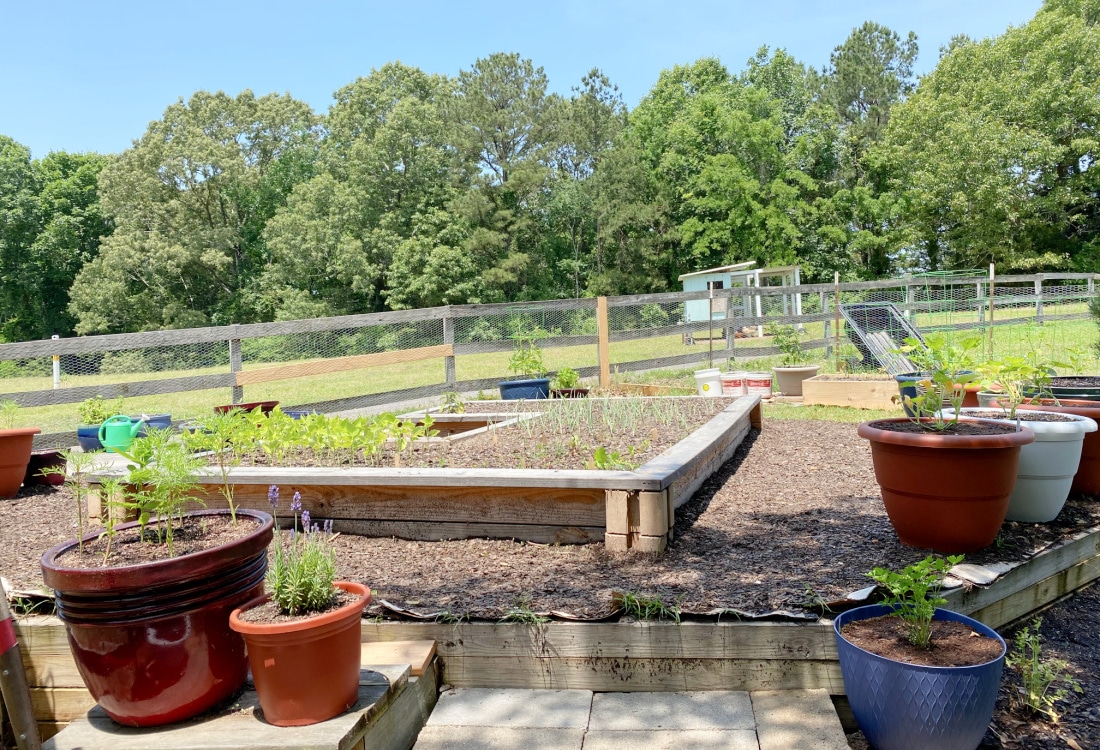 Frugal Potager Garden Tour - raised bed and potted plants - Life Full and Frugal