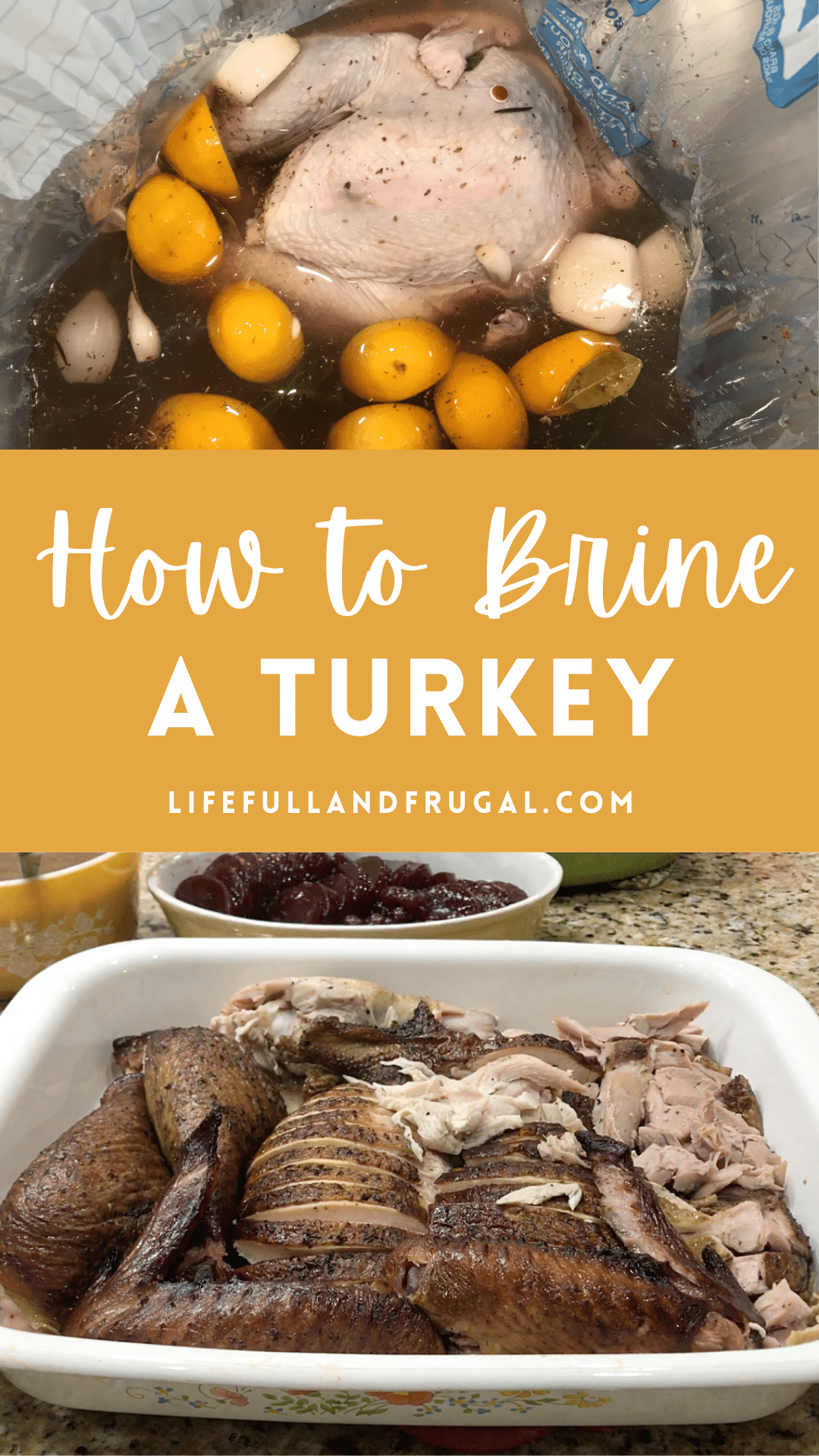 How to Brine a Turkey - Life Full and Frugal