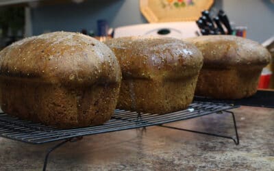 How to Make Sourdough Bread: A Multigrain Sandwich Loaf