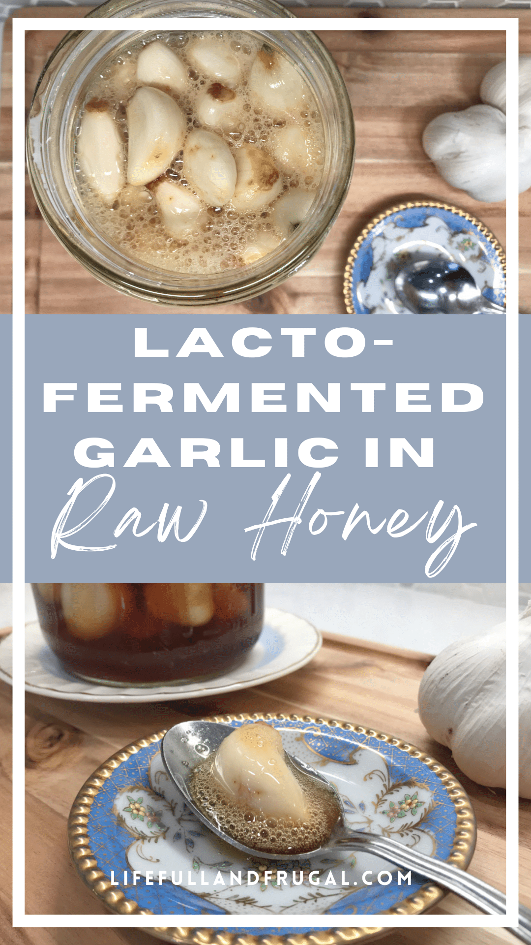 lacto-fermented garlic cloves in raw unfiltered honey for boosting immunity - Lacto-Fermented Garlic Cloves in Raw Honey - Life Full and Frugal
