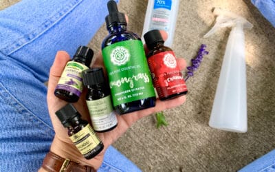 DIY Mosquito and Bug Repellent Spray with Essential Oils