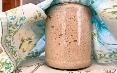 How to Make a Wild Yeast Sourdough Starter