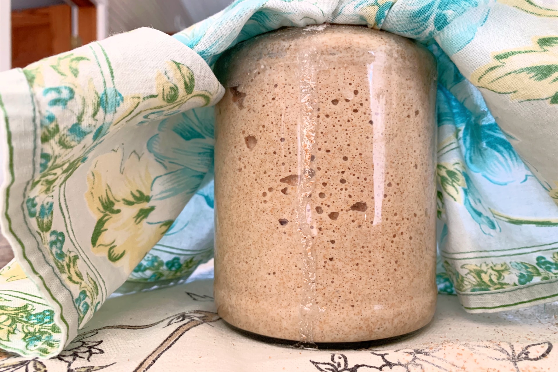 whole wheat wild yeast sourdough starter life full and frugal