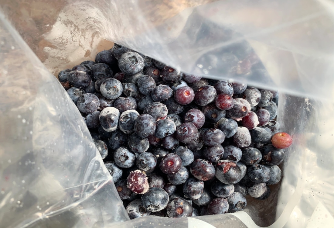 fresh Michigan blueberries life full and frugal