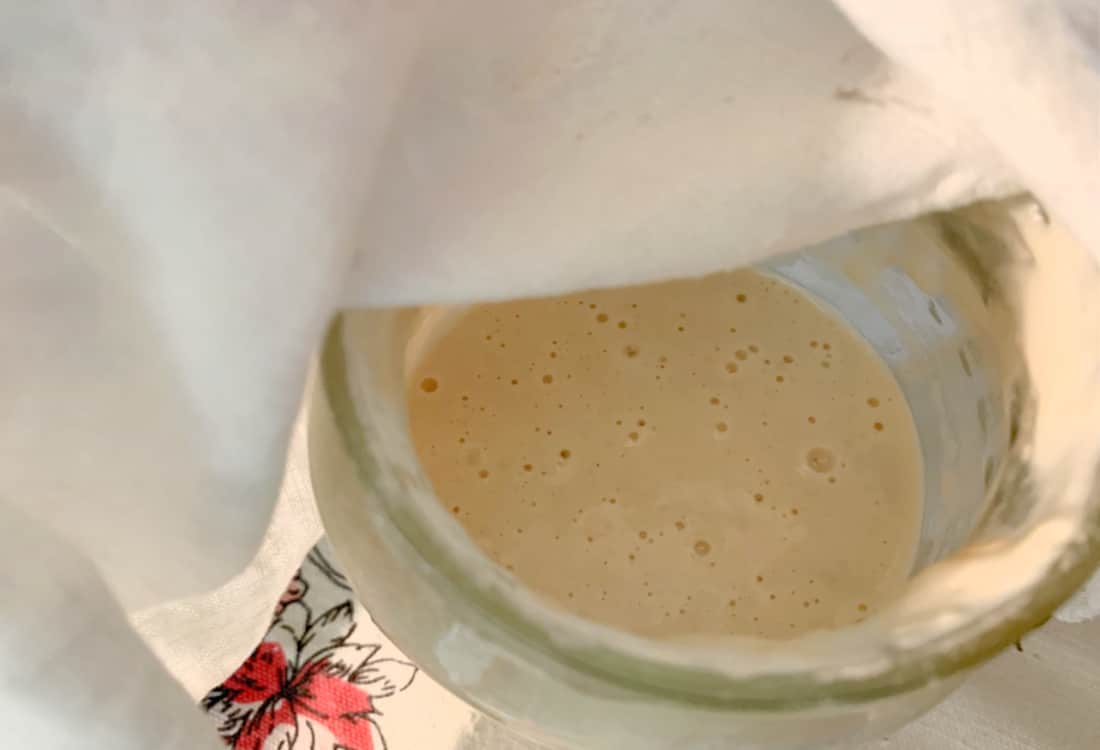 all-purpose flour sourdough starter life full and frugal