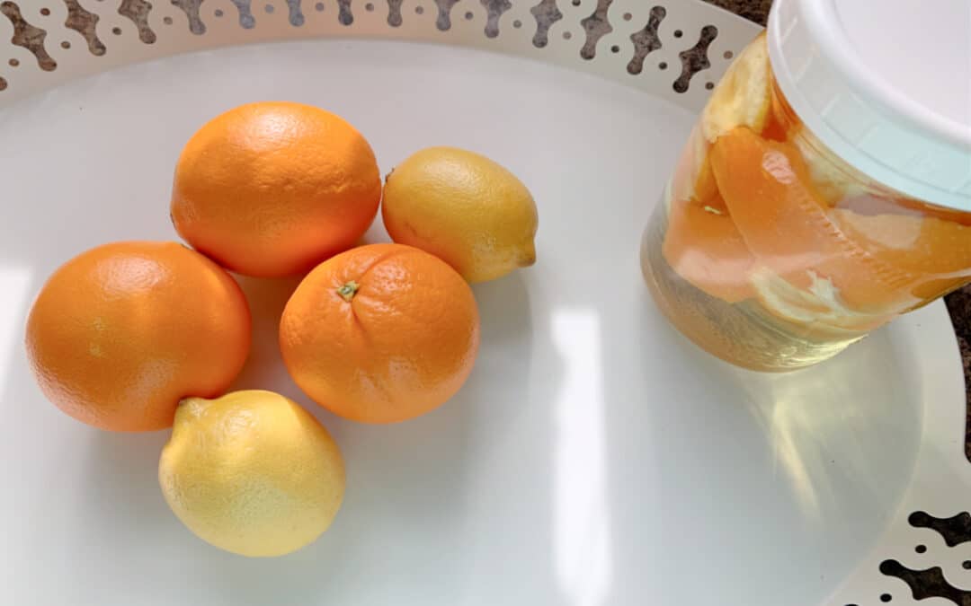 Frugal DIY Citrus-Peel Vinegar Cleaner