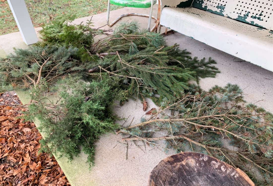 evergreen boughs to planters life full and frugal