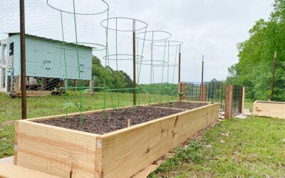 DIY Raised Bed Garden Boxes Using Untreated 2×12 Pine Boards