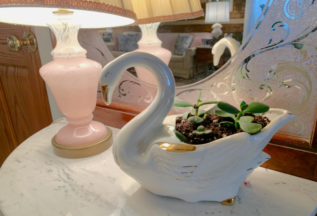 a swan shaped planter with jade plants life full and frugal