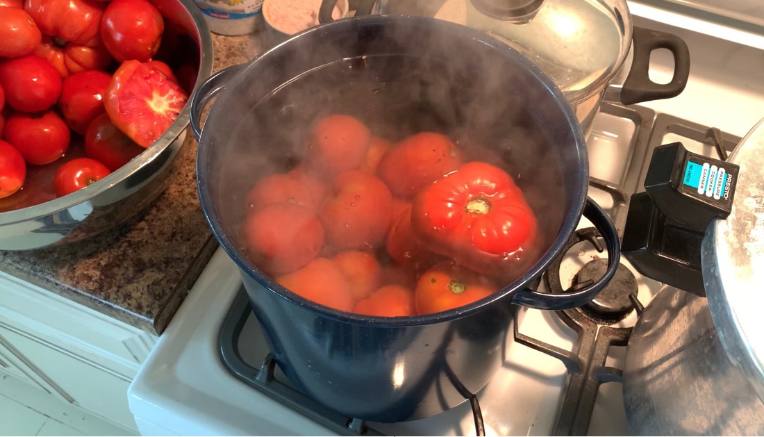 blancing tomatoes to can life full and frugal