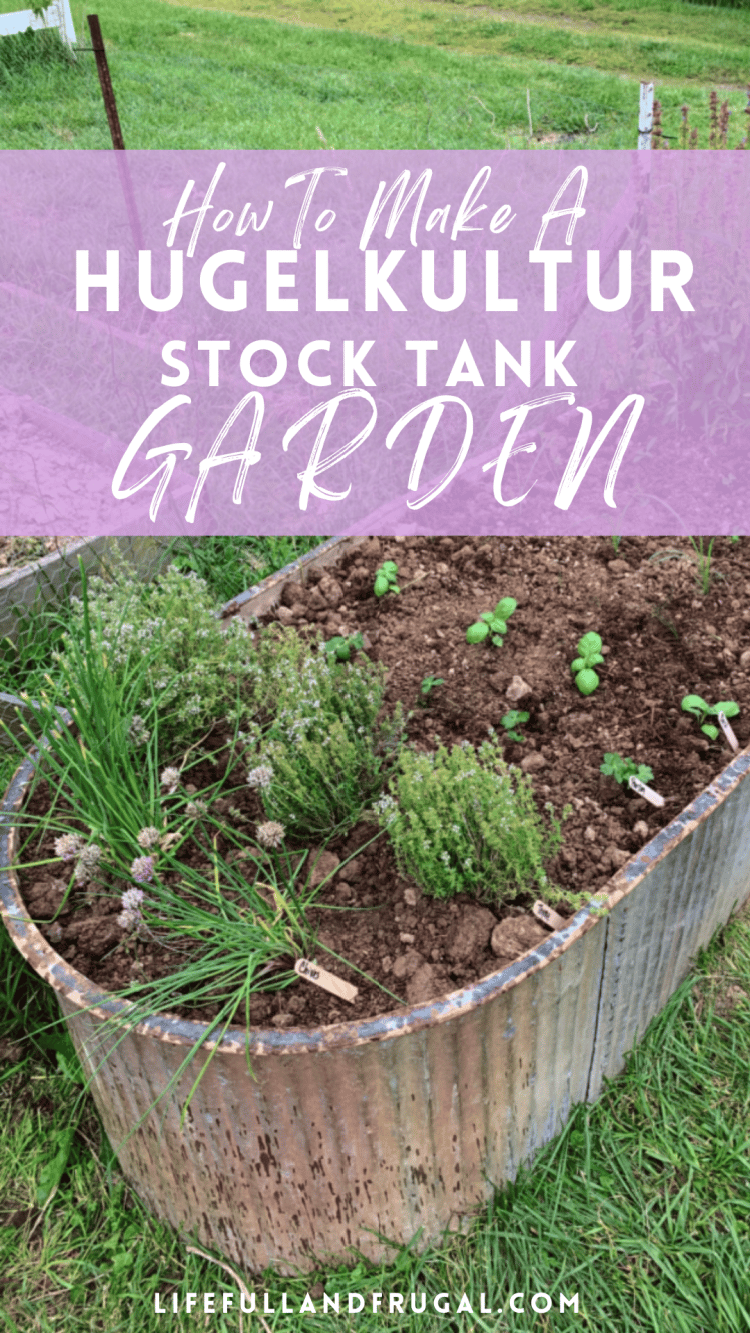 how to make a hugelkultur stock tank garden life full and frugal pin