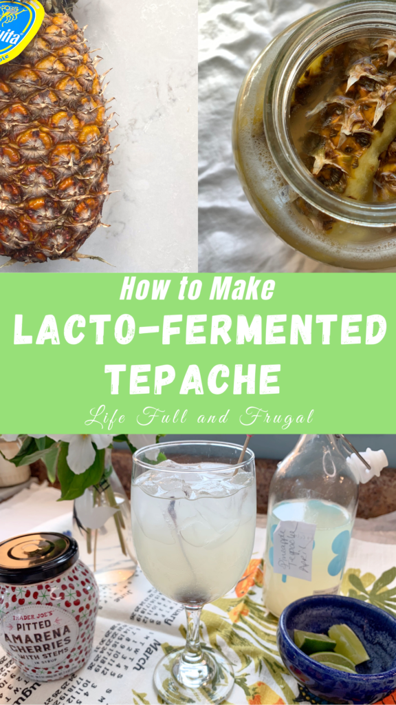 making lacto fermented pineapple tepache pinterest