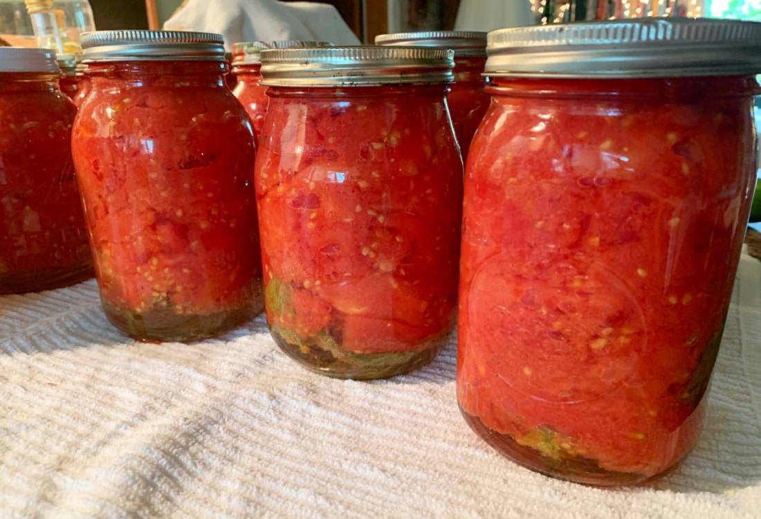 whole canned tomatoes with basil life full and frugal